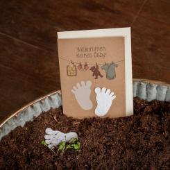 Die Stadtgärtner einpflanzbare Grußkarte Willkommen kleines Baby 